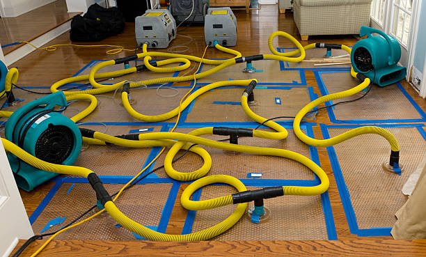 Professional Structural Drying And Dehumidification technician working in Oak Park, CA